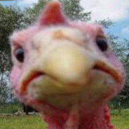 Dyndyn