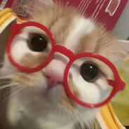 뽀