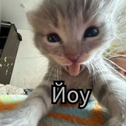 mr.popa