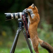 Bladehunter217