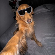 ♱𝐢𝐟𝐦𝐬𝐬𝐠♱