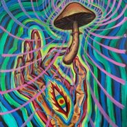 Shrooms