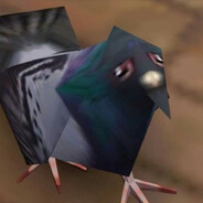 Kvonki4