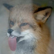 TrTrMur