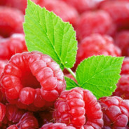 Raspberry Sucks At Aim