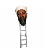 ossama bin ladder
