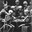 Group Avatar