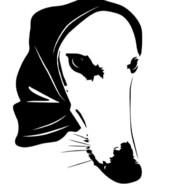 BAZEUSKA DOG