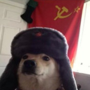 товарищъ ᵈᵒᵍ