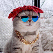 Crypto Cat