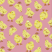 duckduckk83
