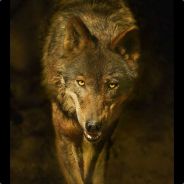 ToPyK