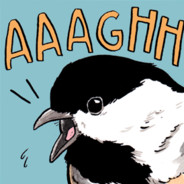 PreferredBird