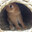 51a200fae86f02ab6f3615480de4ddd25c1aea84.jpg