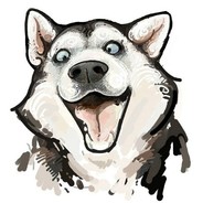 KARMA Play