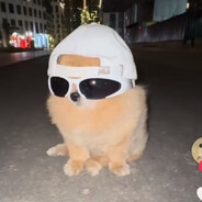 Sløw  ϟ
