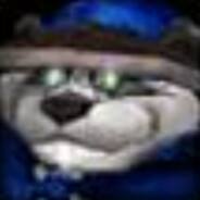 ==
