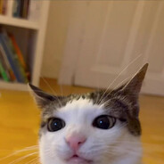 oi