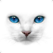 White Cat