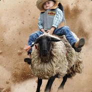 WelshWizard