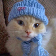 party cat