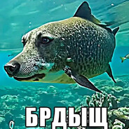 млонг БРДЫЩЕВИЧ222