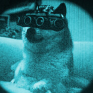 TACT1CAL DOGE