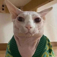 Kudryavyy