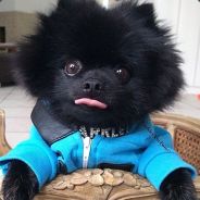 sergitocampoy5427