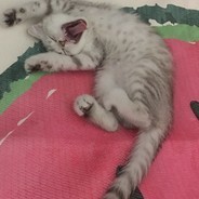 红包我只发9尾♥♥♥♥♥♥♥♥.com