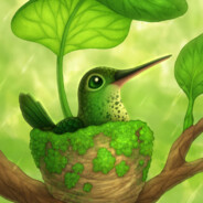 Kolibry