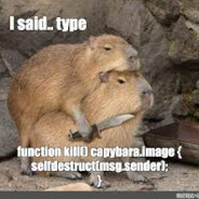AlEx  CAPYBARA