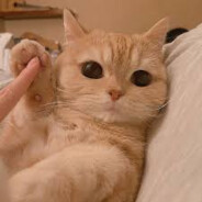 Jiji