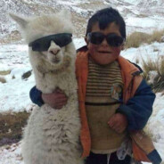 sin llamas no hay paraiso