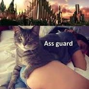 AssGuard