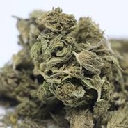 kAf 操我的團隊