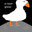 Group Avatar