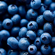 BlueBerry