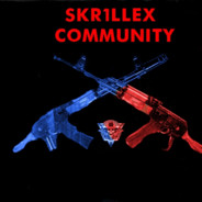 Skr1llex  Name@pvpro.com