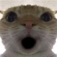 Kit