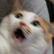 DMGAlbert