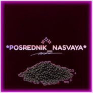 *POSREDNIK_NASVAYA*
