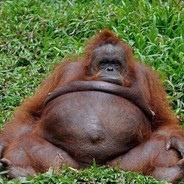 Big Dave