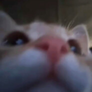 caprisunkek on twitch