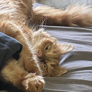 leroy