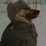 ВОЕННАЯ СОБАКА