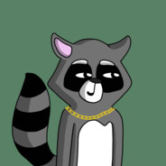 JustRaccoon