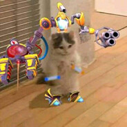 AHI MI GATITO MIAU MIAU