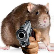 squirrel rat