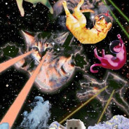 Purry forn